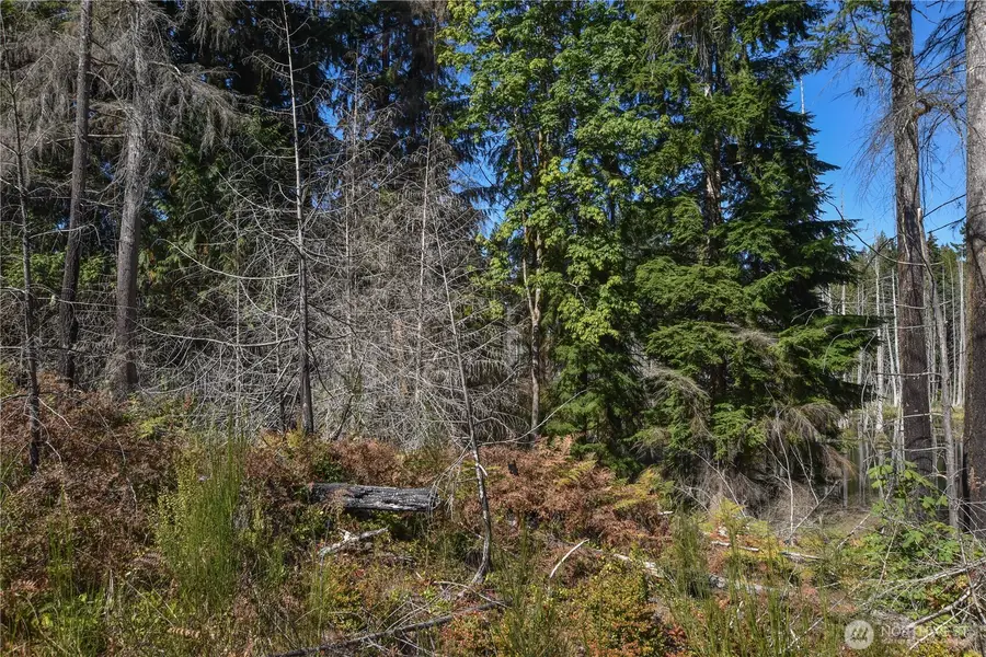 20 SW Hunter Road, Port Orchard, WA 98367 - #3