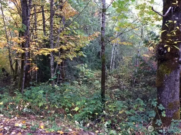 25116 SE 146th Street #143, Issaquah, WA 98027