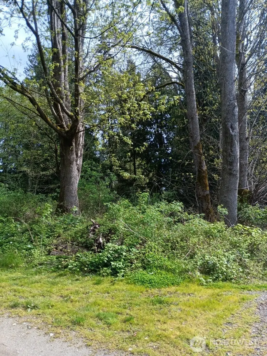 16 Olympic Drive, Hat Island, WA 98206 - #3