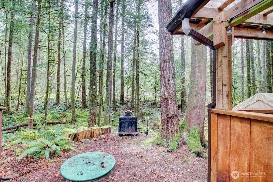 22 Wilderness Way, Deming, WA 98244 - #3