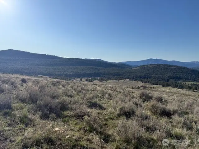 111 Tbd White Tail Lane, Tonasket, WA 98855 - #2