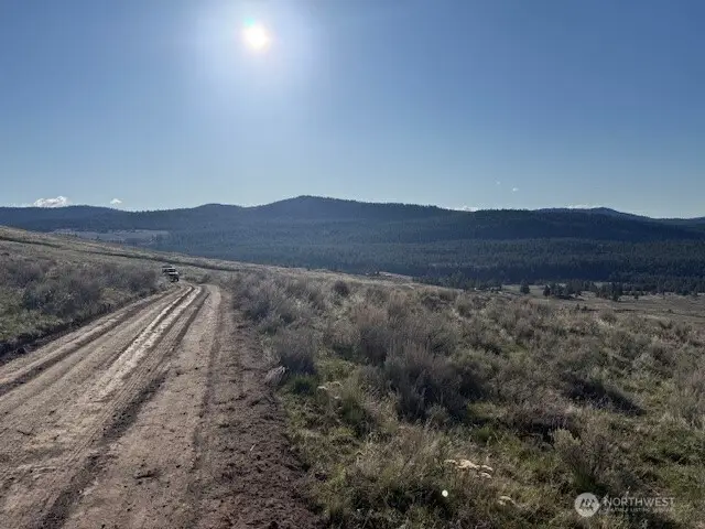 111 Tbd White Tail Lane, Tonasket, WA 98855 - #3