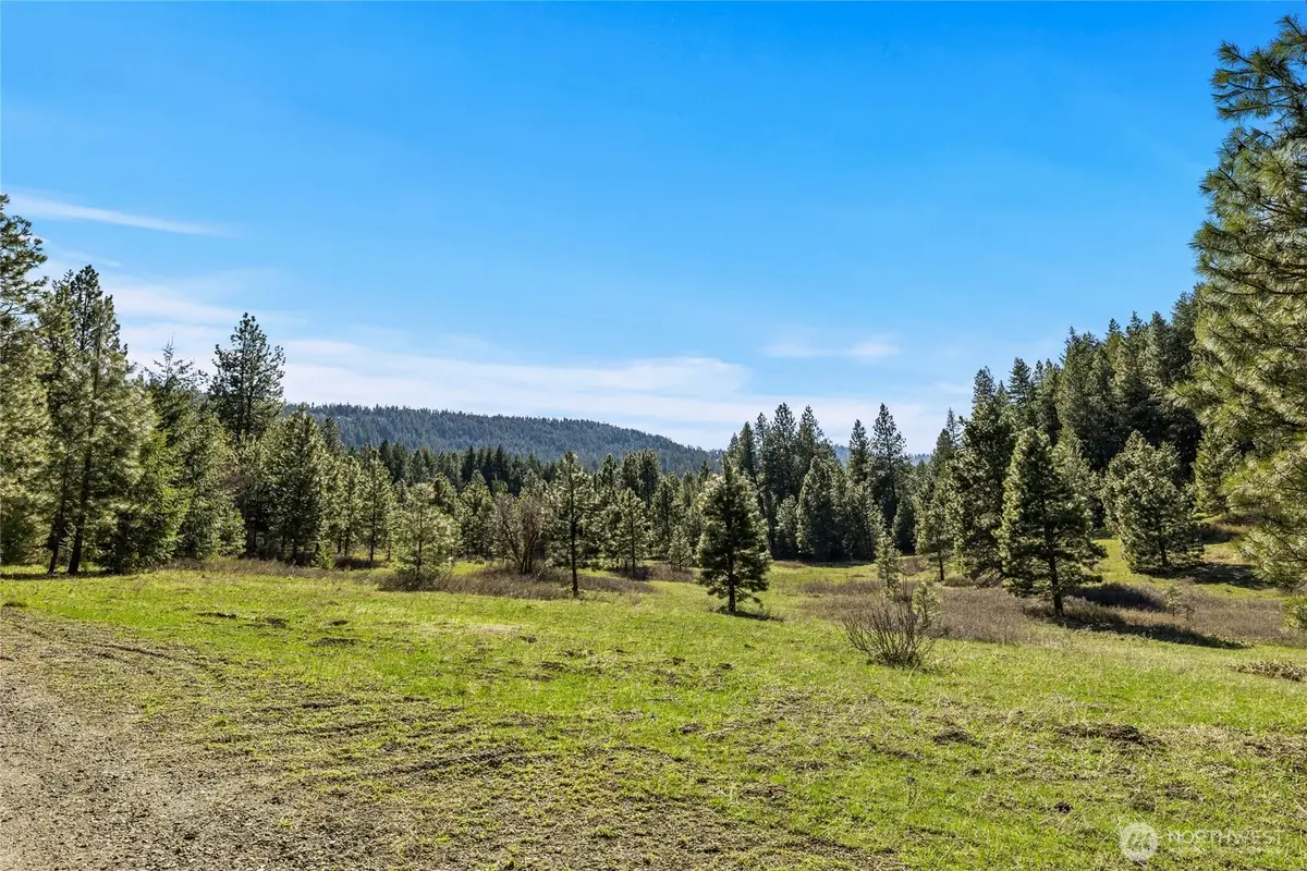 0 Thornton Creek Lane, Cle Elum, WA 98922 - #1