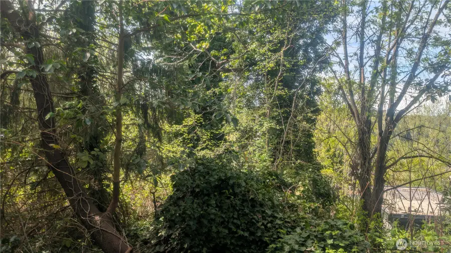 5263 21st Avenue Sw #7, Seattle, WA 98106 - #3