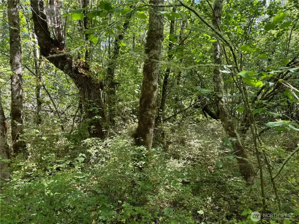 0 Chuckawa Lane Se, Yelm, WA 98597