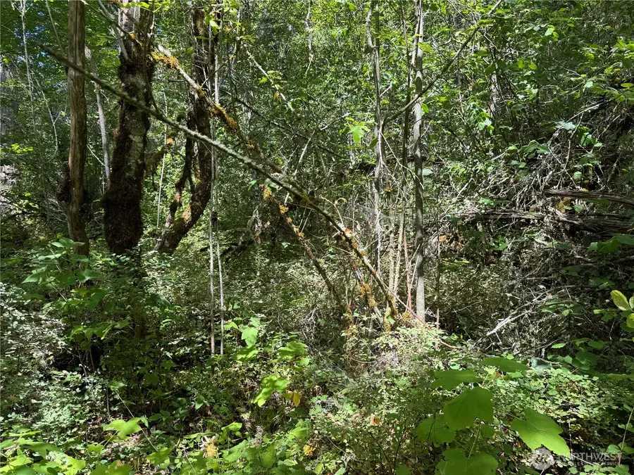 0 Chuckawa Lane Se, Yelm, WA 98597 - #2