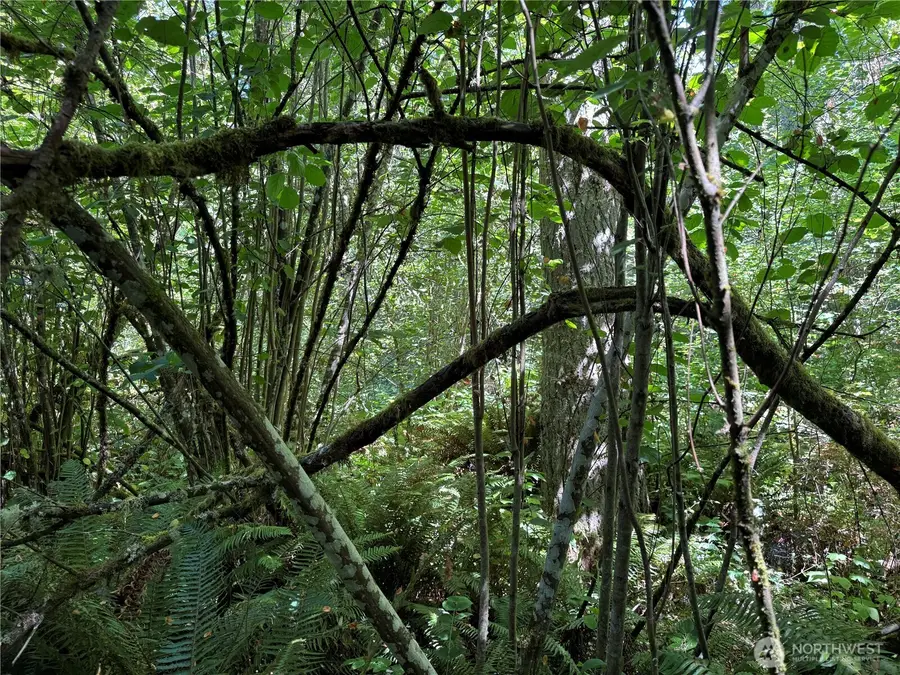 0 Chuckawa Lane Se, Yelm, WA 98597 - #3