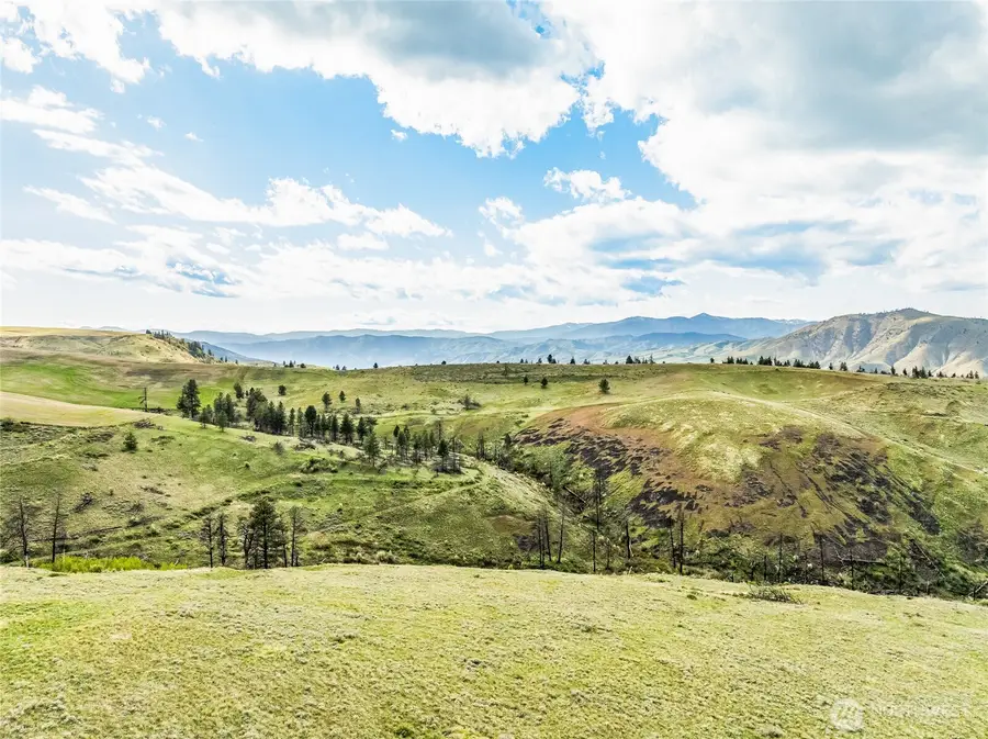 10 Lot 9 Chelan Hills Acres Rd, Orondo, WA 98843 - #2