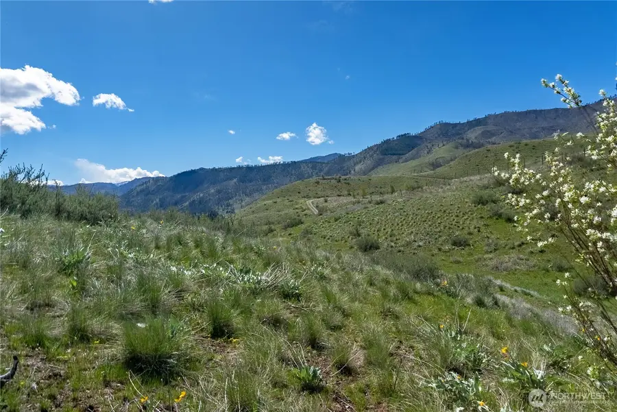 16 Dancing Bear Road, Carlton, WA 98814 - #3