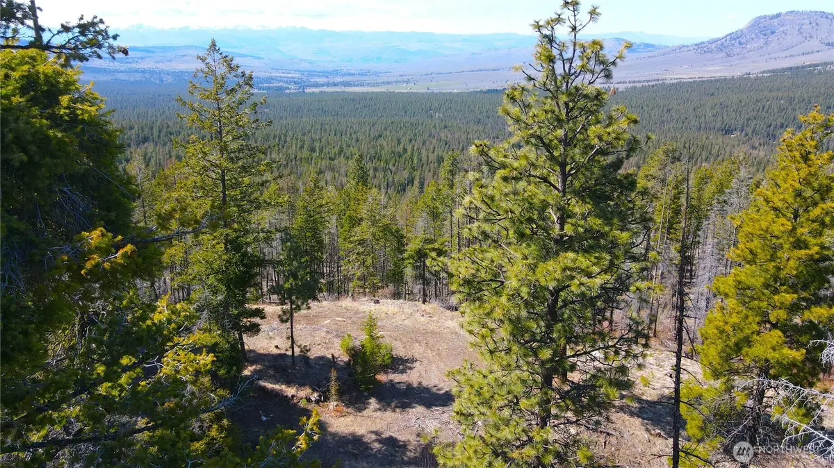 32 Twin Creeks Ranch #32-1, Riverside, WA 98849 - #1