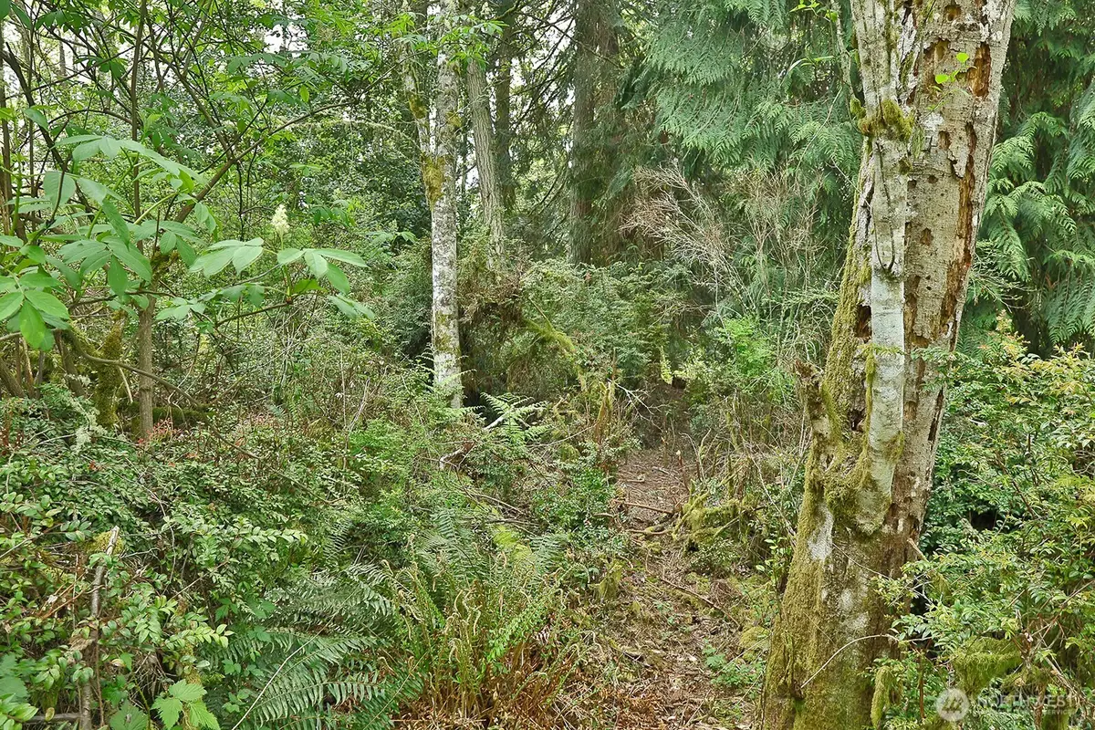 0 Goss Lake Road, Langley, WA 98260 - #1