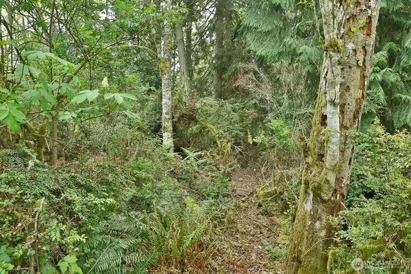 0 Goss Lake Road, Langley, WA 98260