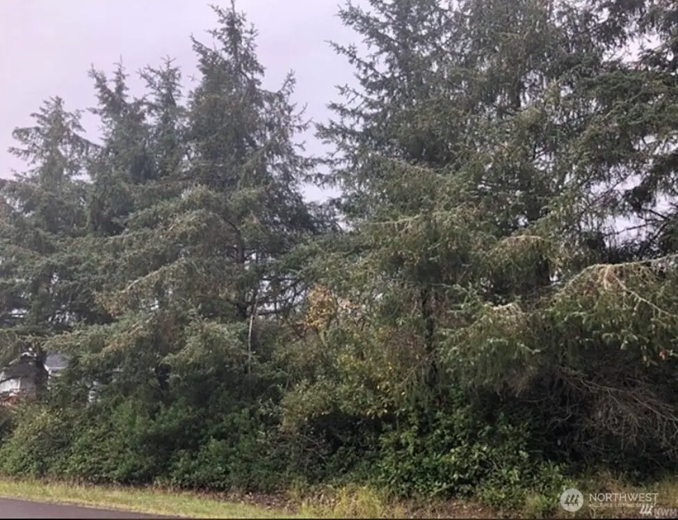 649 Weatherwax Loop Ne, Ocean Shores, WA 98569 - #1