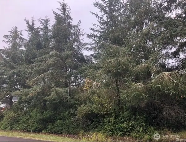 649 Weatherwax Loop Ne, Ocean Shores, WA 98569
