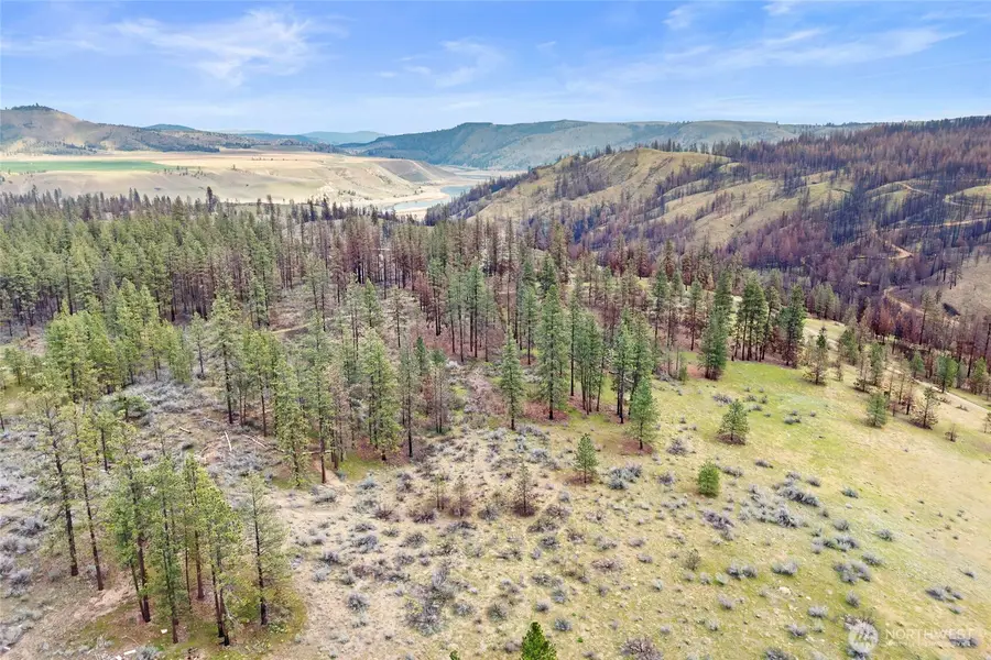 36480 Western Pines Drive N, Davenport, WA 99122 - #2