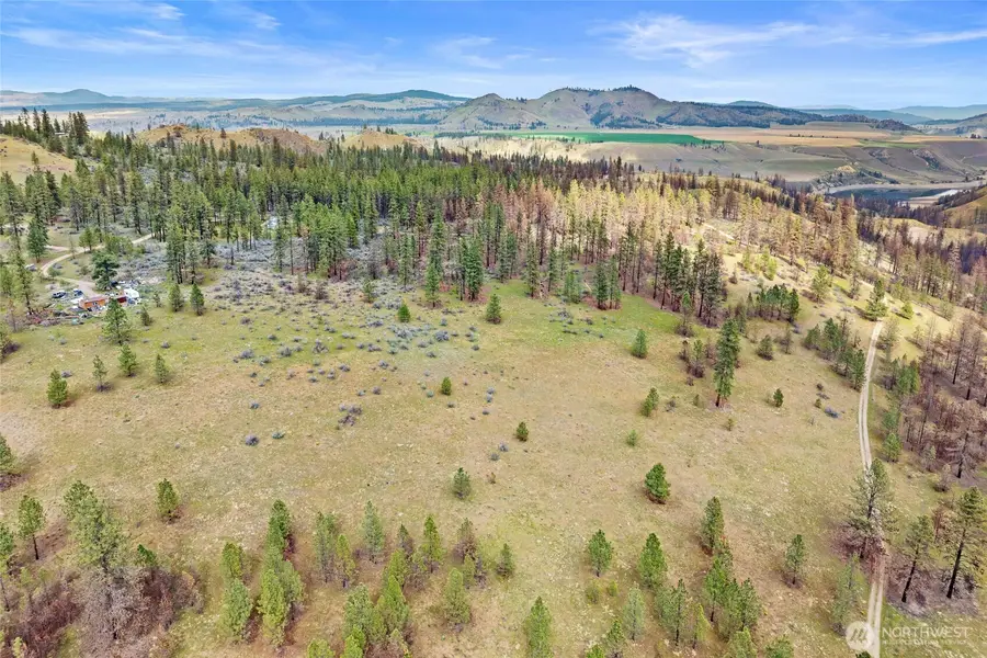 36480 Western Pines Drive N, Davenport, WA 99122 - #3