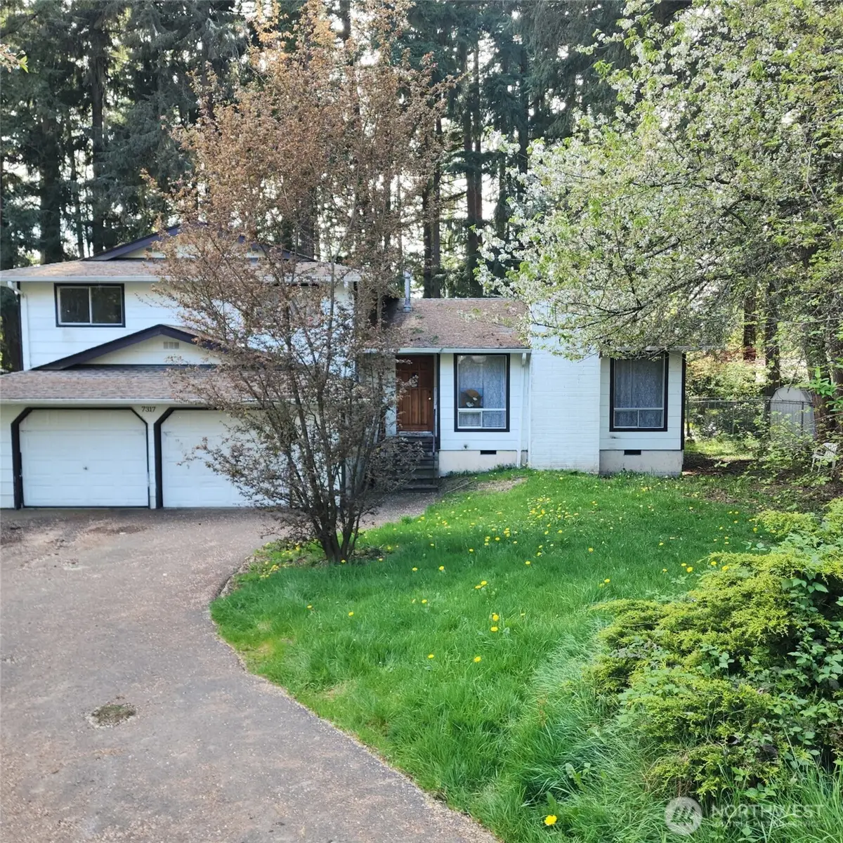 7317 12th Court Se, Lacey, WA 98503 - #1
