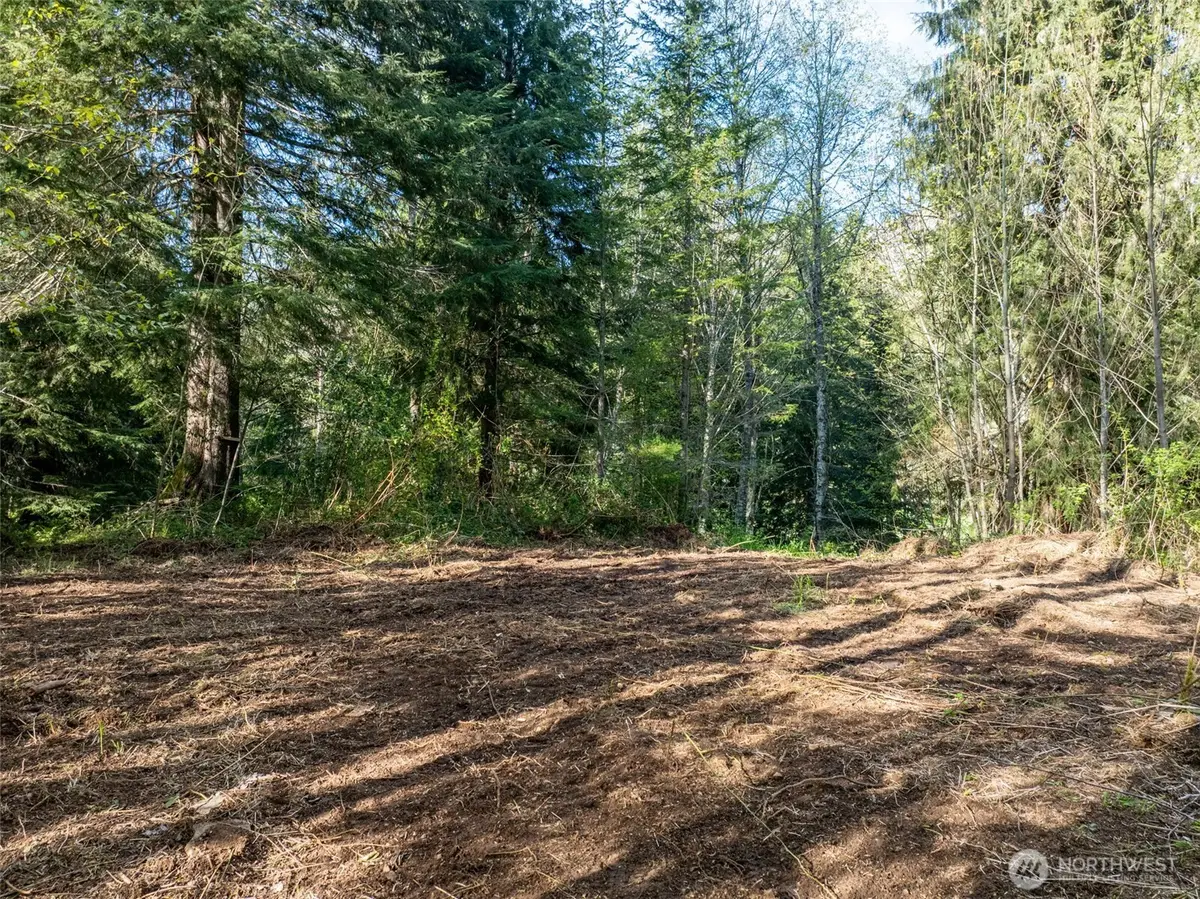 0 Davis Lake Road, Morton, WA 98356 - #1