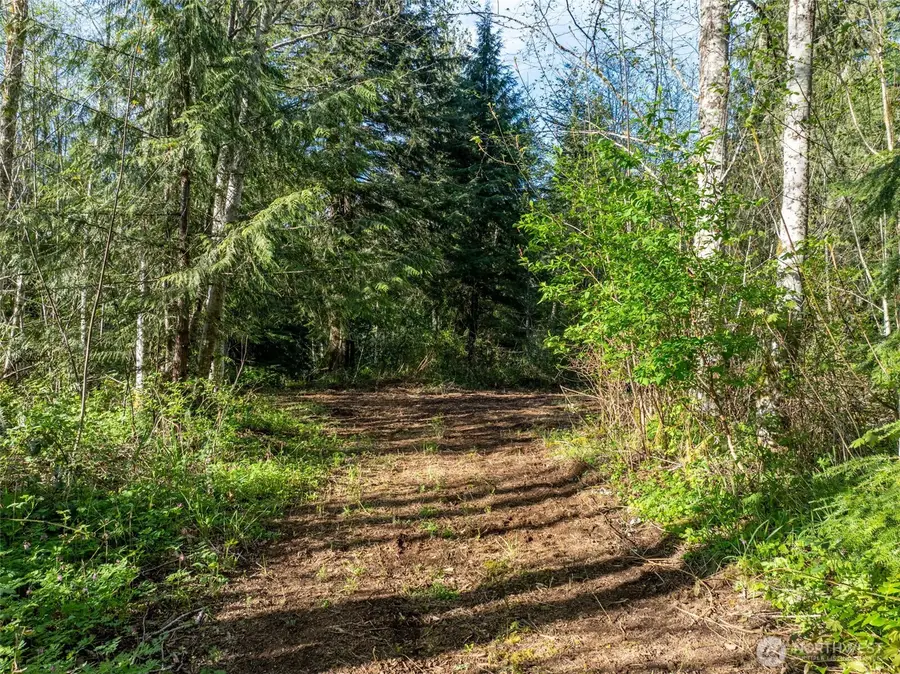 0 Davis Lake Road, Morton, WA 98356 - #3