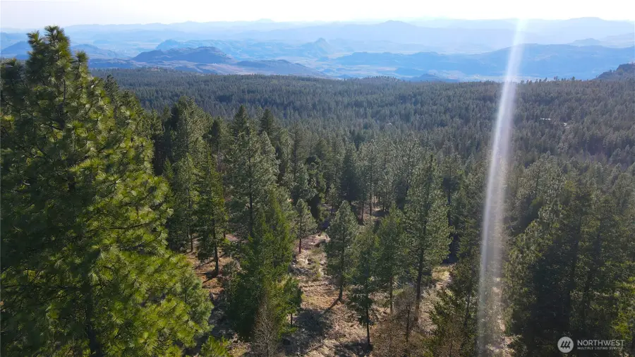 34 Morgan Mountain Trail, Tonasket, WA 98855 - #2