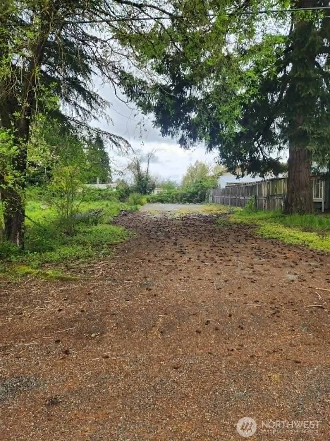 1316 W Main Street, Centralia, WA 98531 - #1