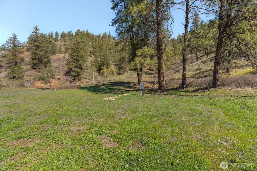 4 Whiskey Mountain Ranches #4, Tonasket, WA 98855 - #3