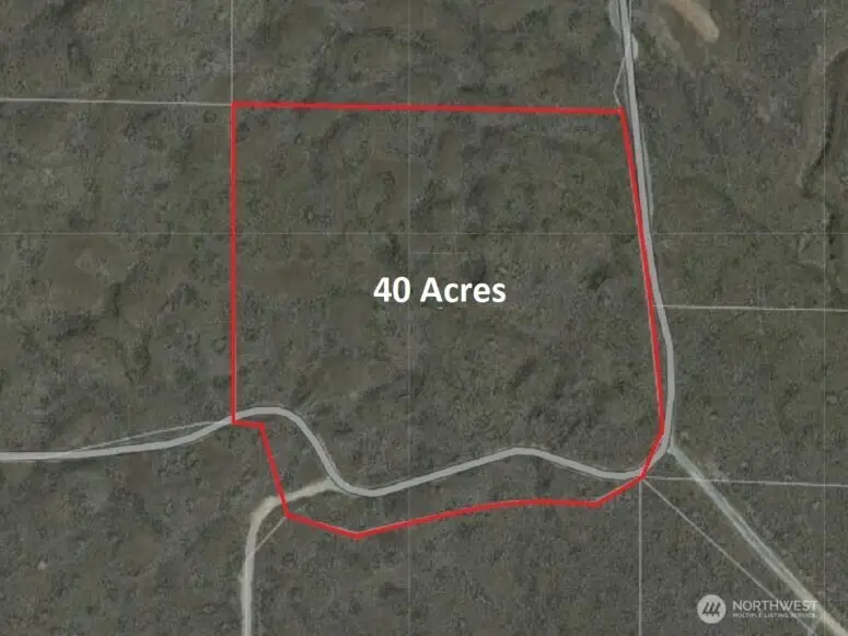 0 13.5 Road, Wilson Creek, WA 98860 - #1