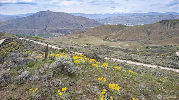 0 Chelan Hills Acres Tract, Orondo, WA 98843