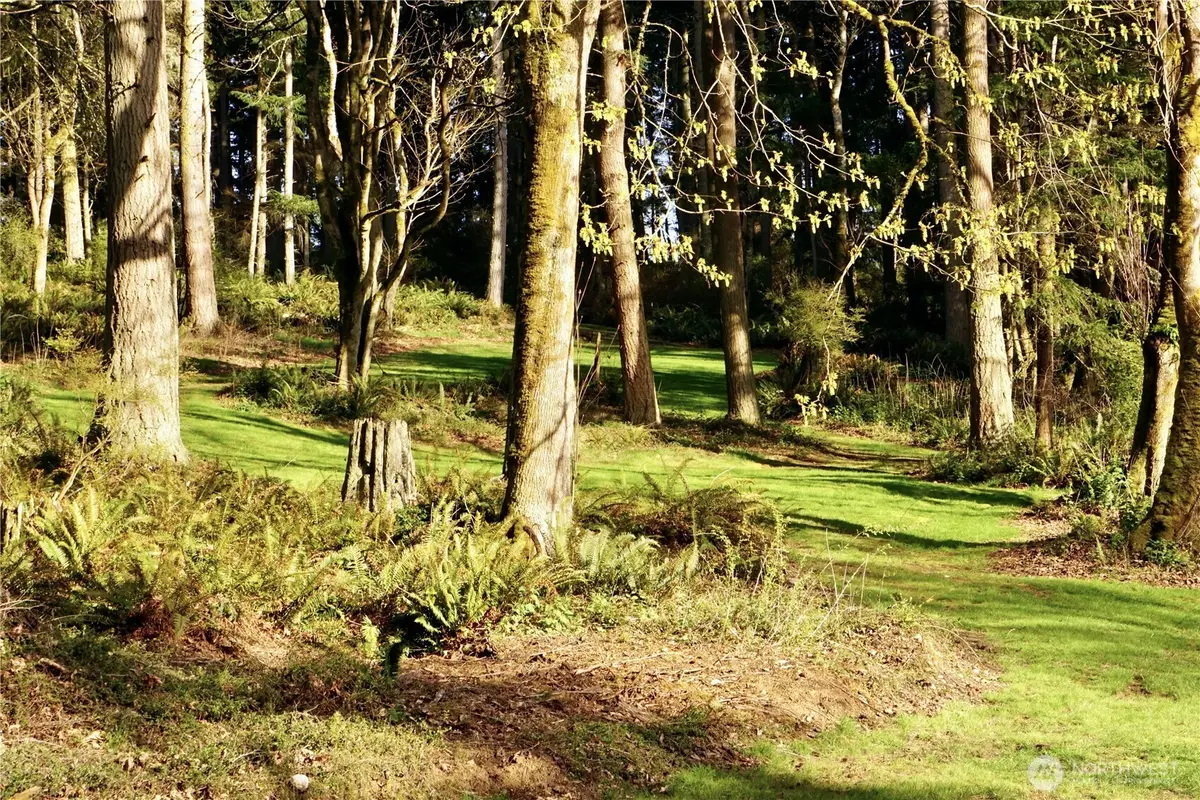 4236 Goatsbeard Lane, Clinton, WA 98236 - #1