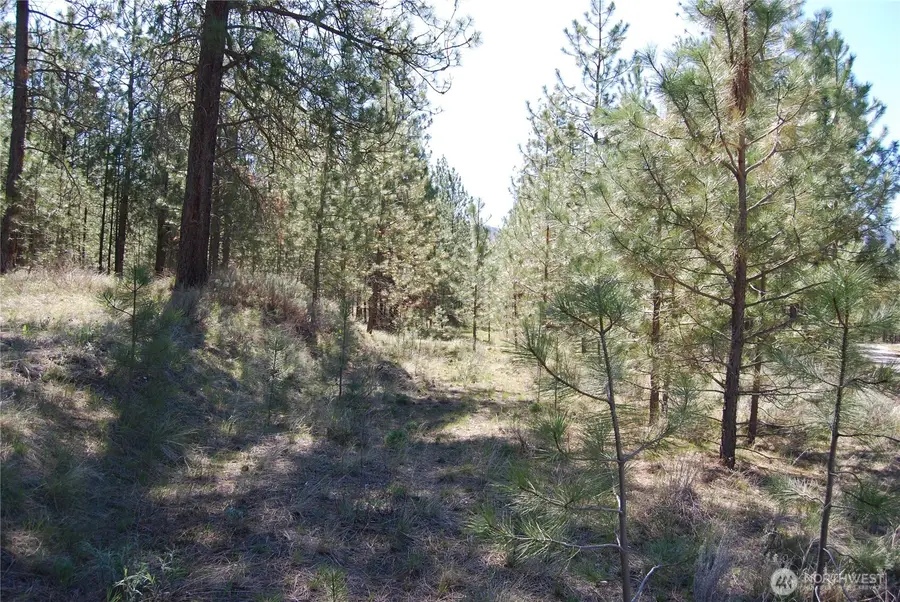 4 Chief Joseph Spur East, Riverside, WA 98849 - #2