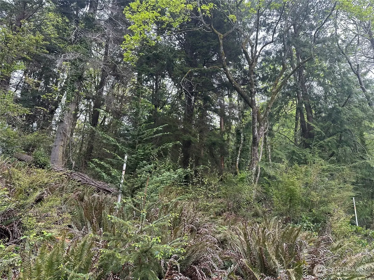 11 NE Shore Drive #11-02, Indianola, WA 98342 - #1