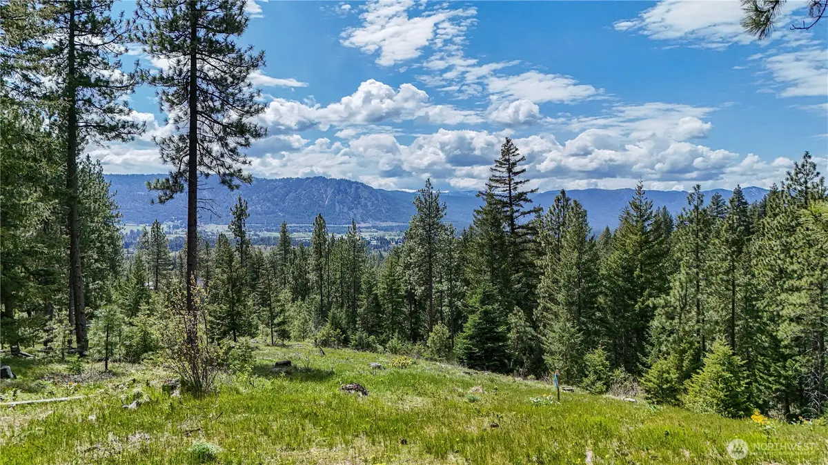 1631 Creekside Road #11, Cle Elum, WA 98922 - #1