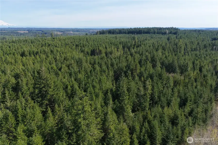 0 Romance Hill Road, Belfair, WA 98528 - #2