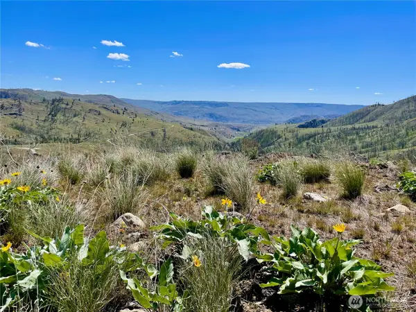 436 Antoine Creek Road, Chelan, WA 98816