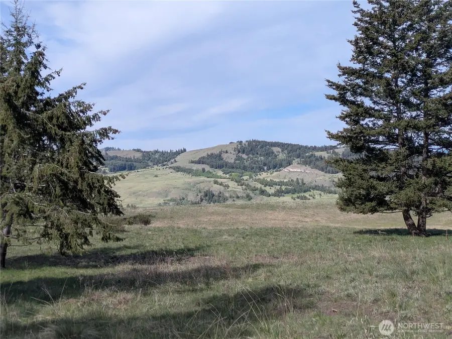 84 Pratt Road, Oroville, WA 98831 - #3