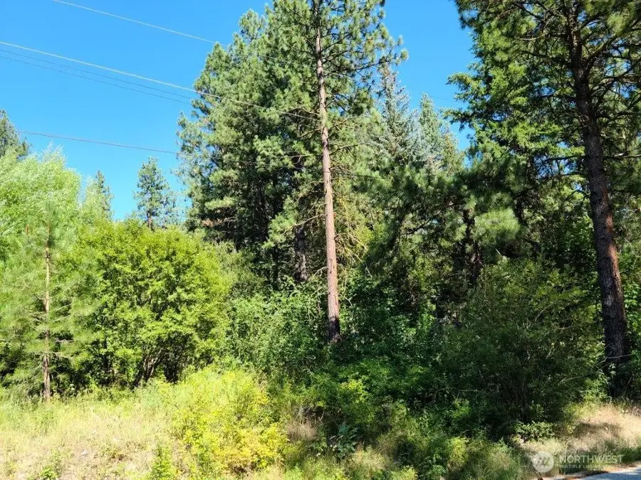 22103 Camp 12 Road #3, Leavenworth, WA 98826 - #2