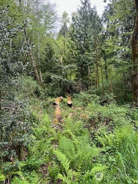 14500 Park Dr Se #2, Port Orchard, WA 98367 - #3