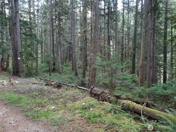 0 Cascade River Road, Concrete, WA 98267