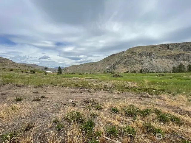 4 Lot 4 - Black Canyon Road #4, Pateros, WA 98846 - #3