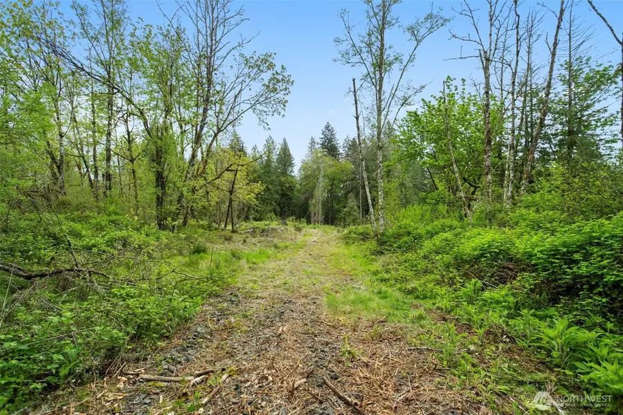 34403 NE Lewisville Highway, Yacolt, WA 98601 - #2
