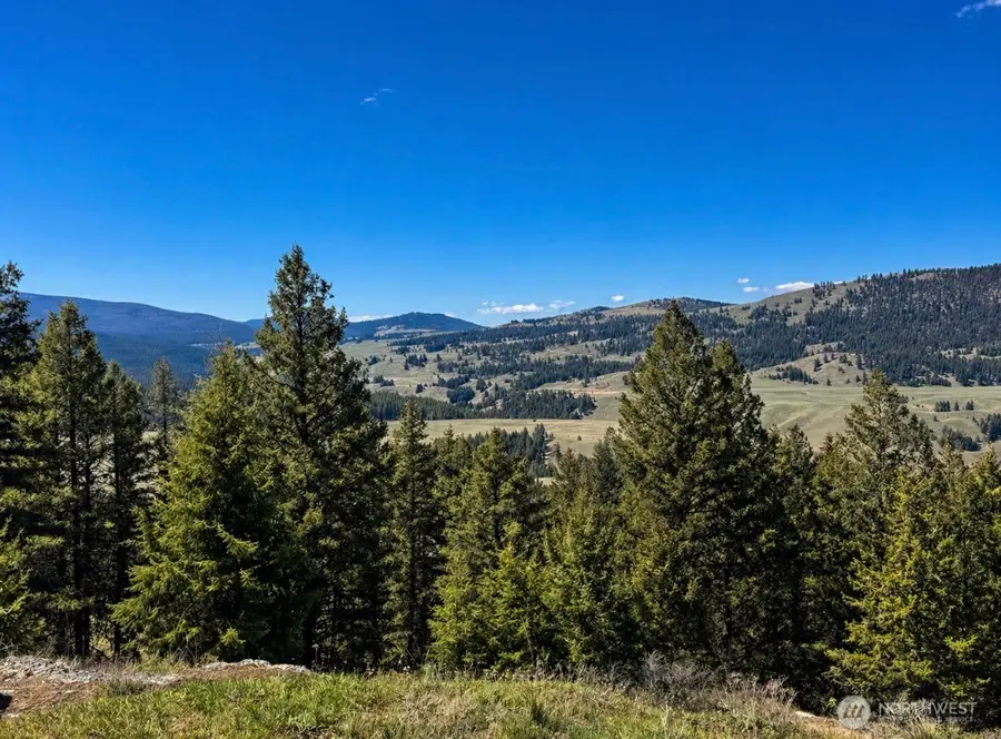 27 Mule Deer Ridge Road, Oroville, WA 98844 - #3