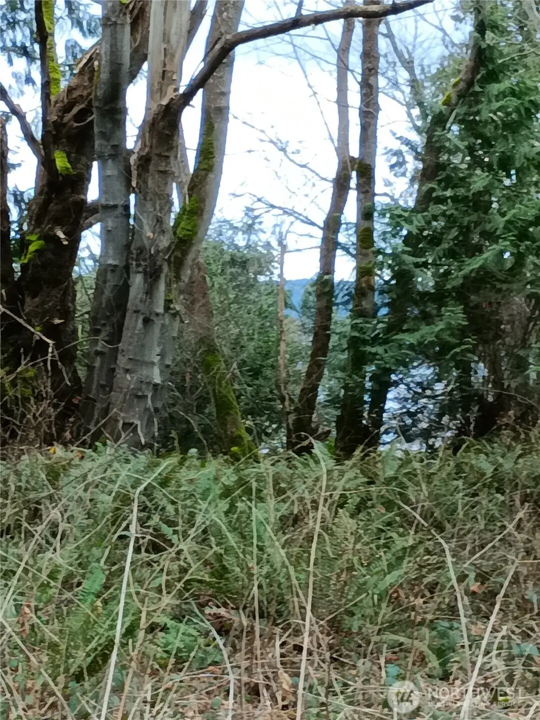 111 Crest Place, Hat Island, WA 98206 - #1