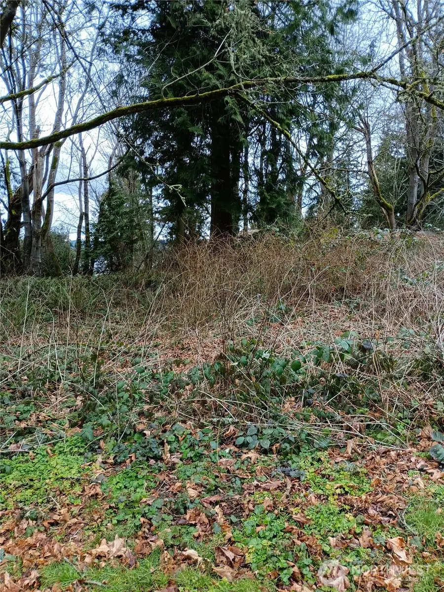 111 Crest Place, Hat Island, WA 98206 - #2