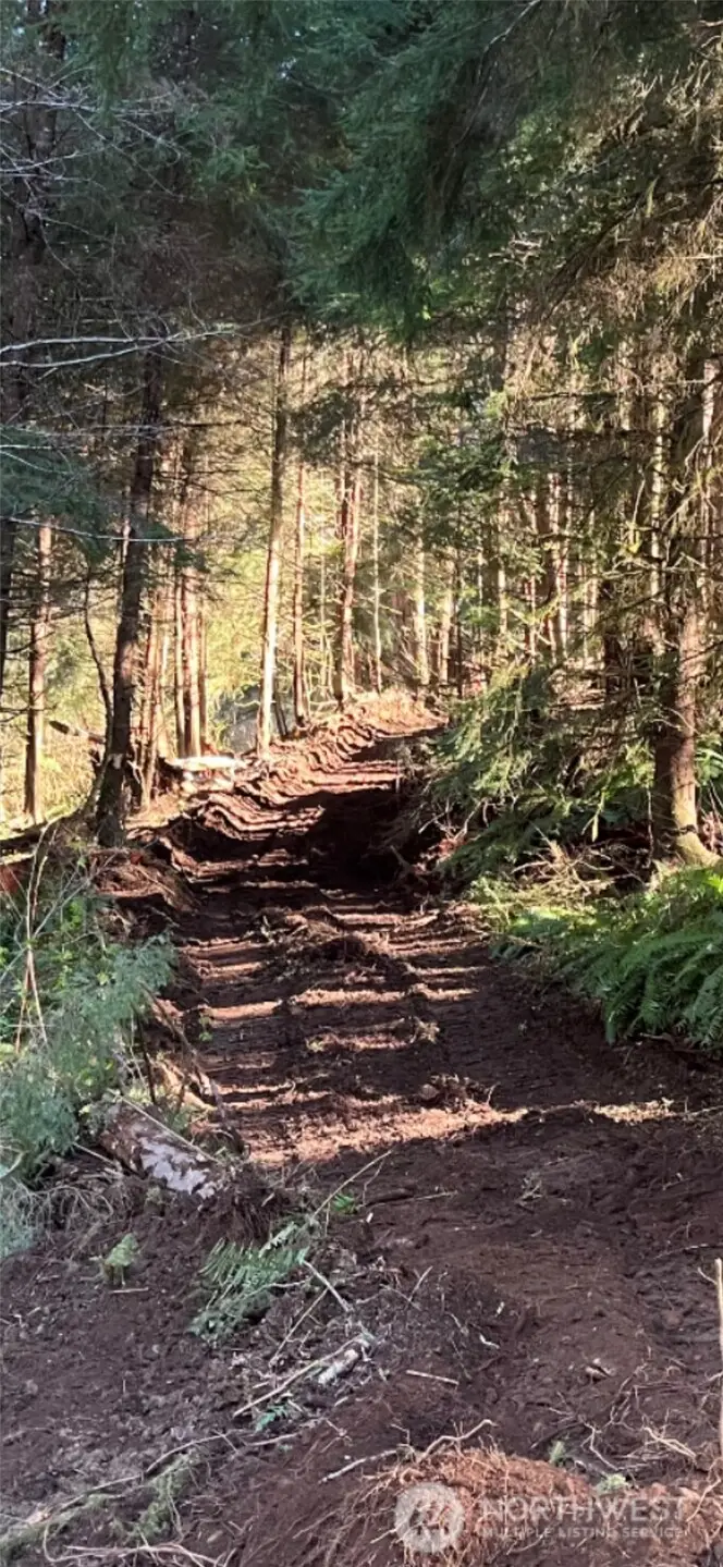 554 Eagle Point Road, Sekiu, WA 98381 - #2