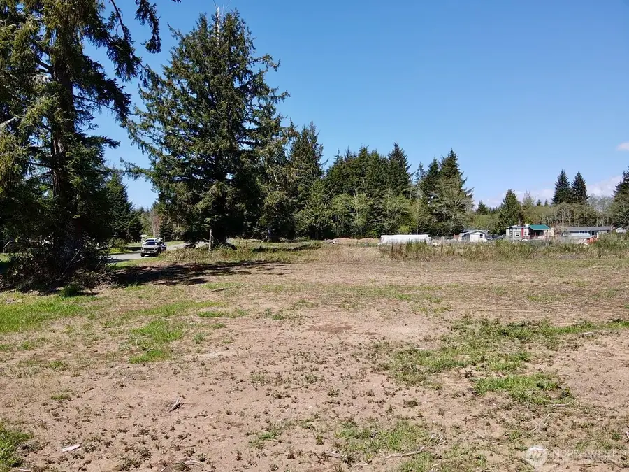 81 Plum Street #LOT 3 OF SSA 83-31 VOL 3 PG 31, Ocosta, WA 98569 - #2
