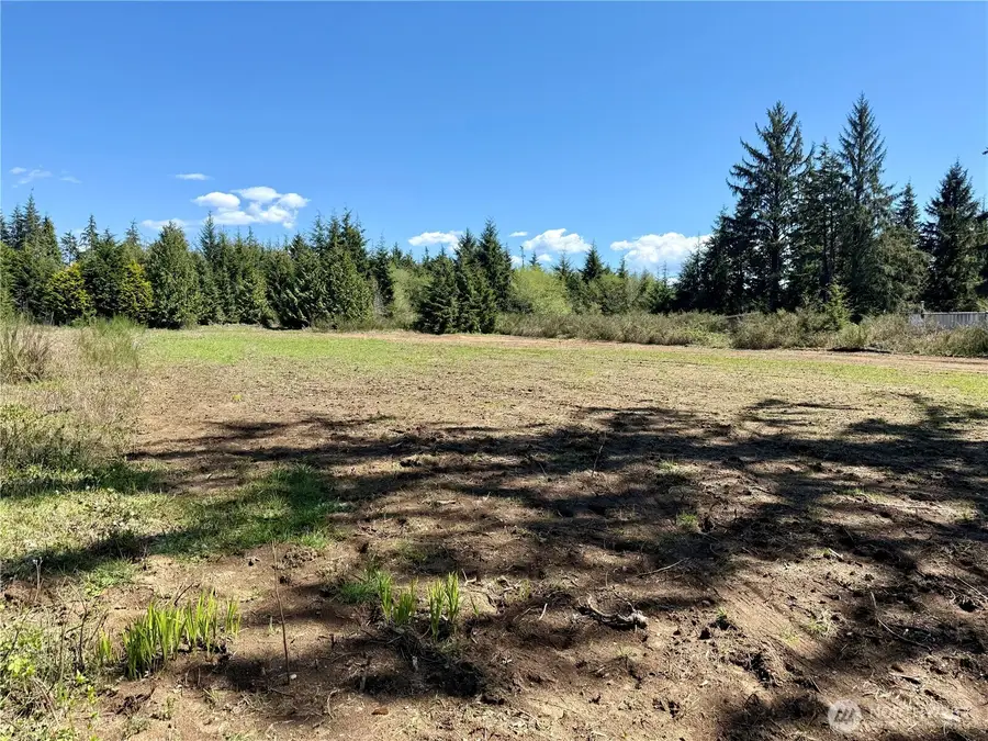 81 Plum Street #LOT 3 OF SSA 83-31 VOL 3 PG 31, Ocosta, WA 98569 - #3