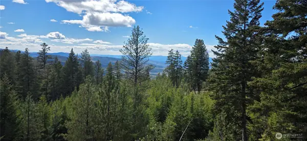 1112 Tbd Bandtman Creek Rd, Tonasket, WA 98855