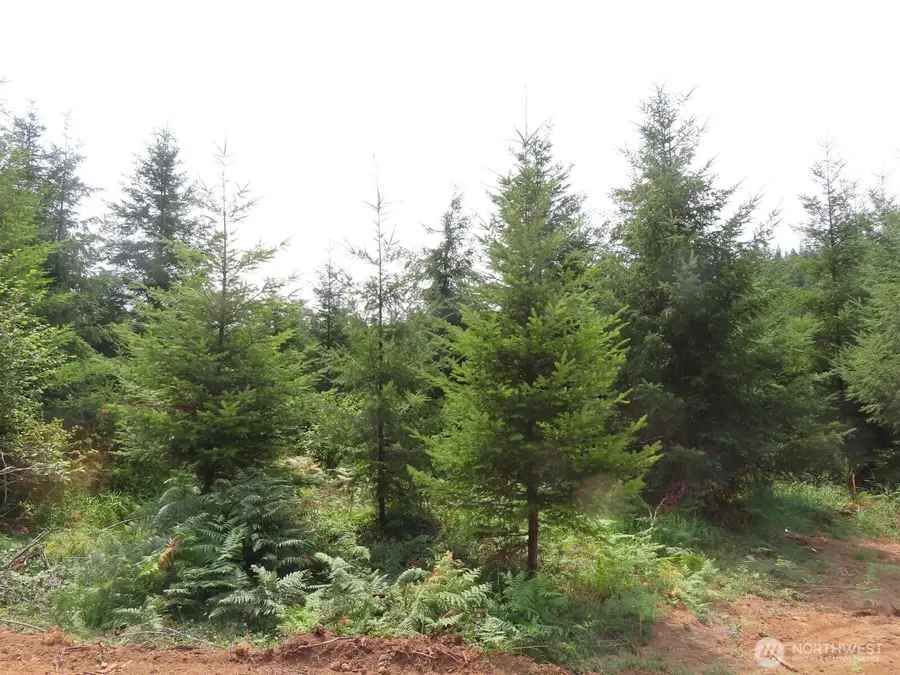 0 Mill Creek Lane #C, Longview, WA 98632 - #2