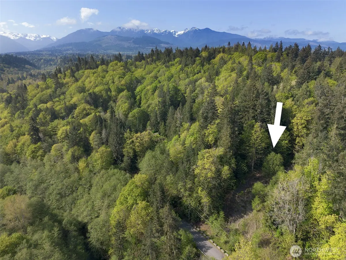 9999 Cottonwood Lane, Port Angeles, WA 98362 - #1