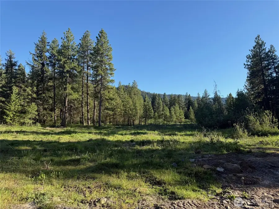 325 Graham Road, Cle Elum, WA 98922 - #2
